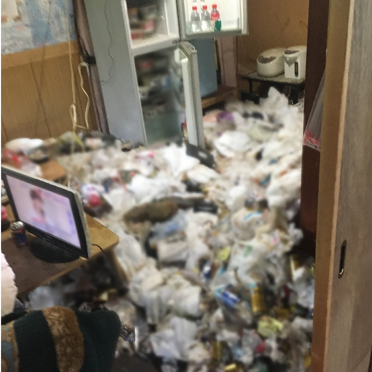 ゴミの回収施工前